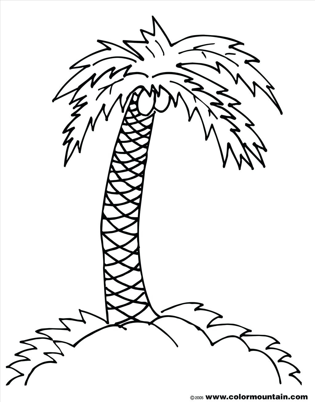 Palm Tree Leaves Coloring Pages At GetColorings Free Printable 