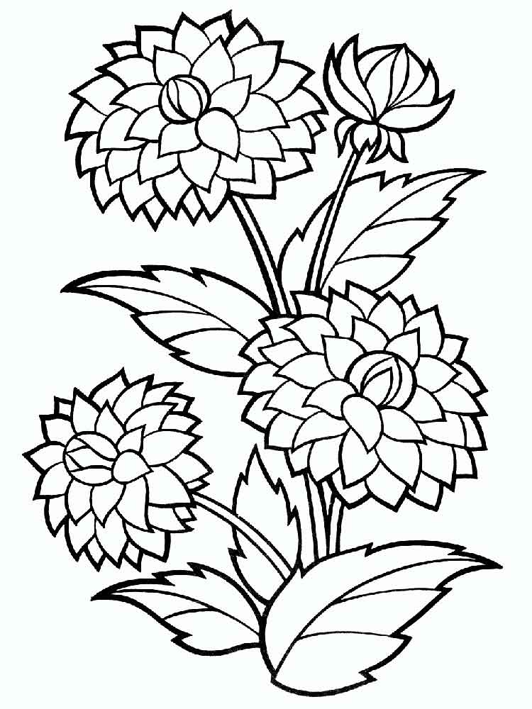 Pansy Flower Coloring Page at GetColorings.com | Free printable