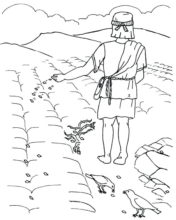 simple-parable-of-the-sower-coloring-page-for-adult-coloring-pages-free
