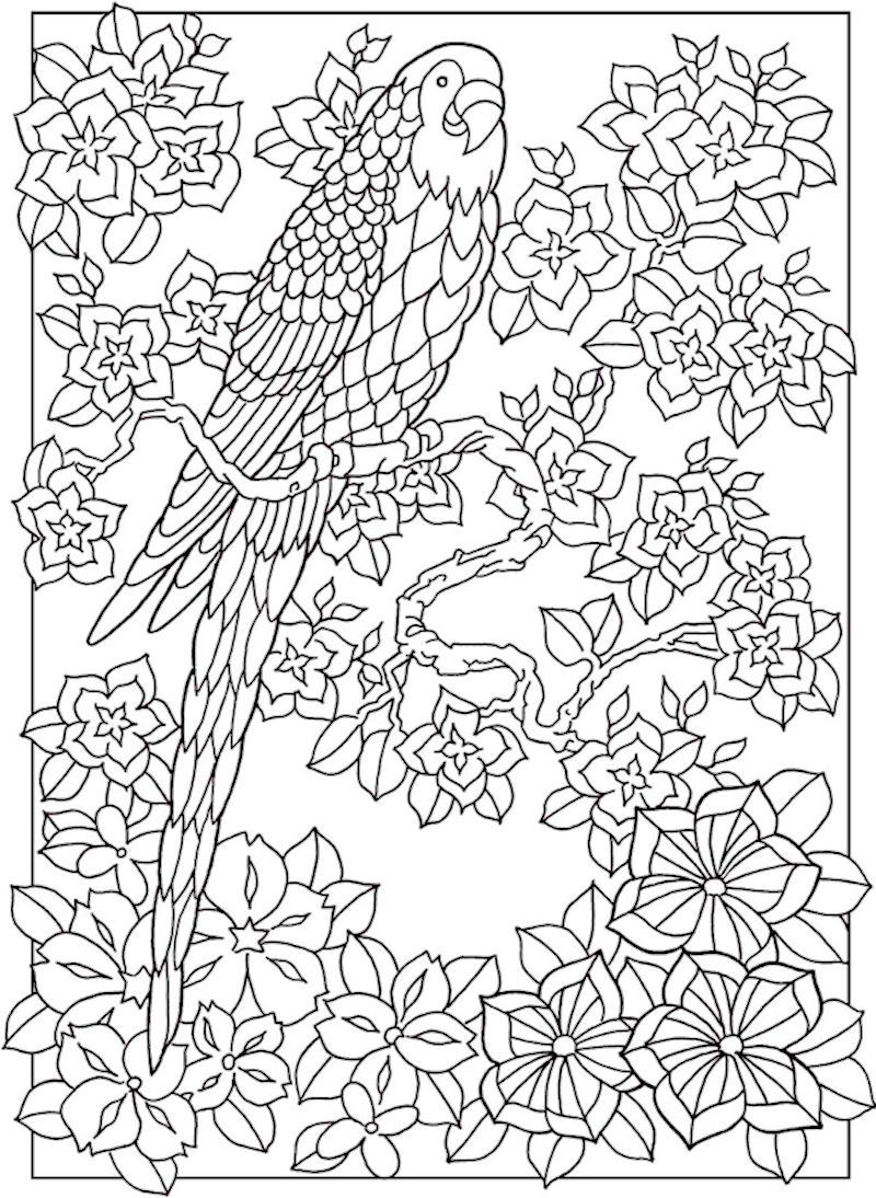Paradise Coloring Pages at Free printable colorings