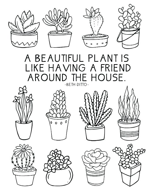 Parts Of A Plant Coloring Page At GetColorings.com | Free Printable ...