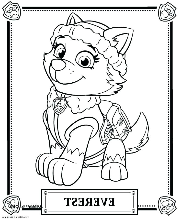 Paw Patrol Christmas Coloring Pages at GetColorings com Free