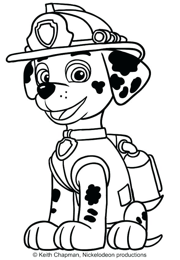 paw patrol coloring pages for kids at getcolorings
