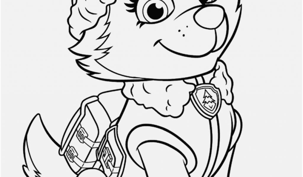 Paw Patrol Characters Coloring Pages at GetColoringscom