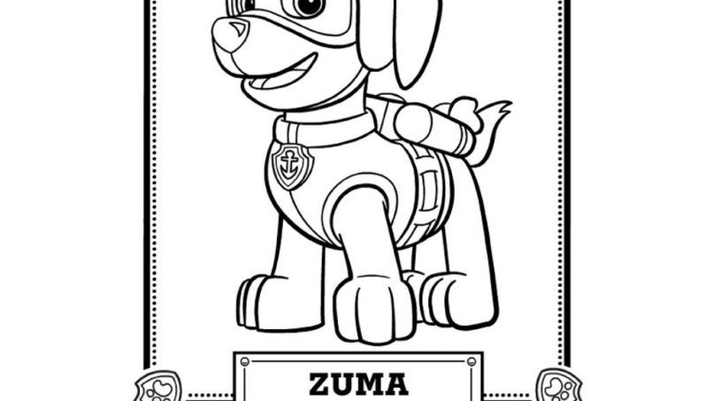 Paw Patrol Free Printable Coloring Pages at GetColorings.com | Free