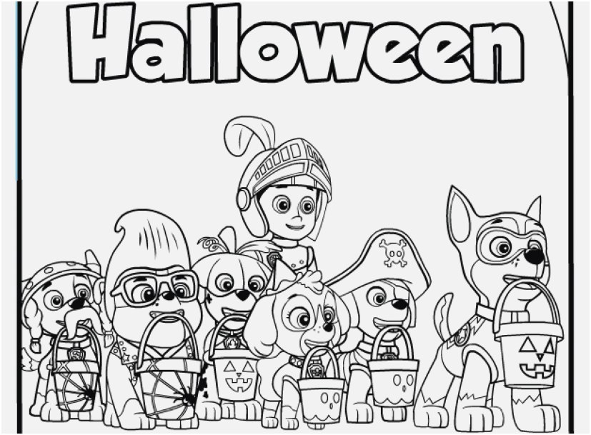 paw patrol summer coloring pages