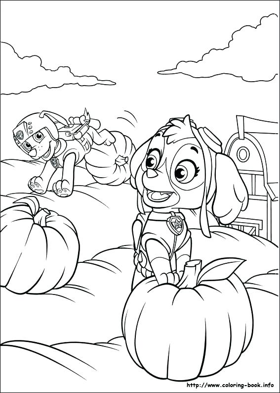 paw patrol pups coloring pages at getcolorings  free