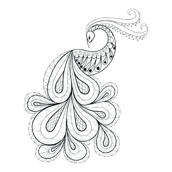 Peacock Feather Coloring Page at GetColorings.com | Free printable ...