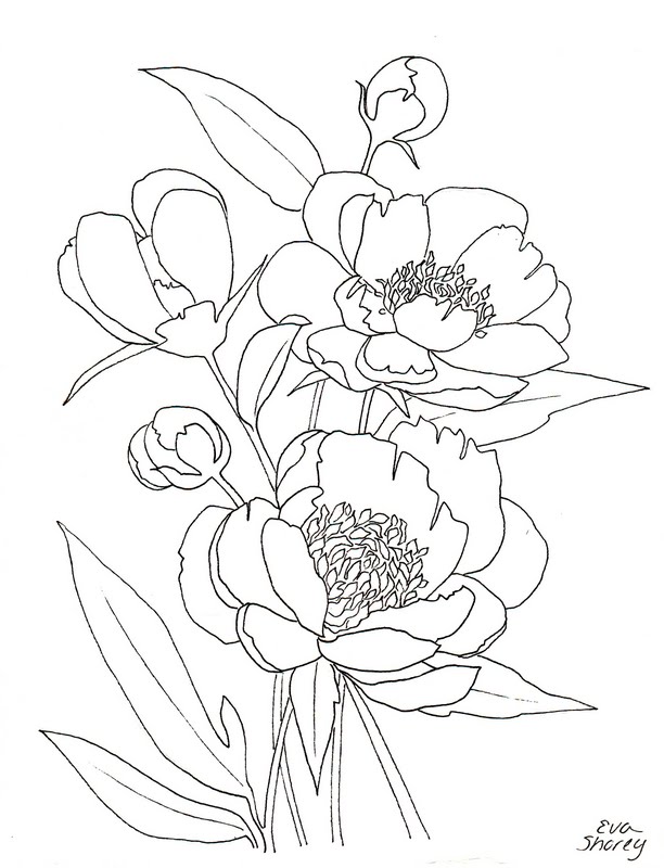 peony-coloring-page-peony-flower-coloring-pages-download-and-print
