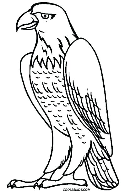 peregrine-falcon-coloring-page-at-getcolorings-free-printable