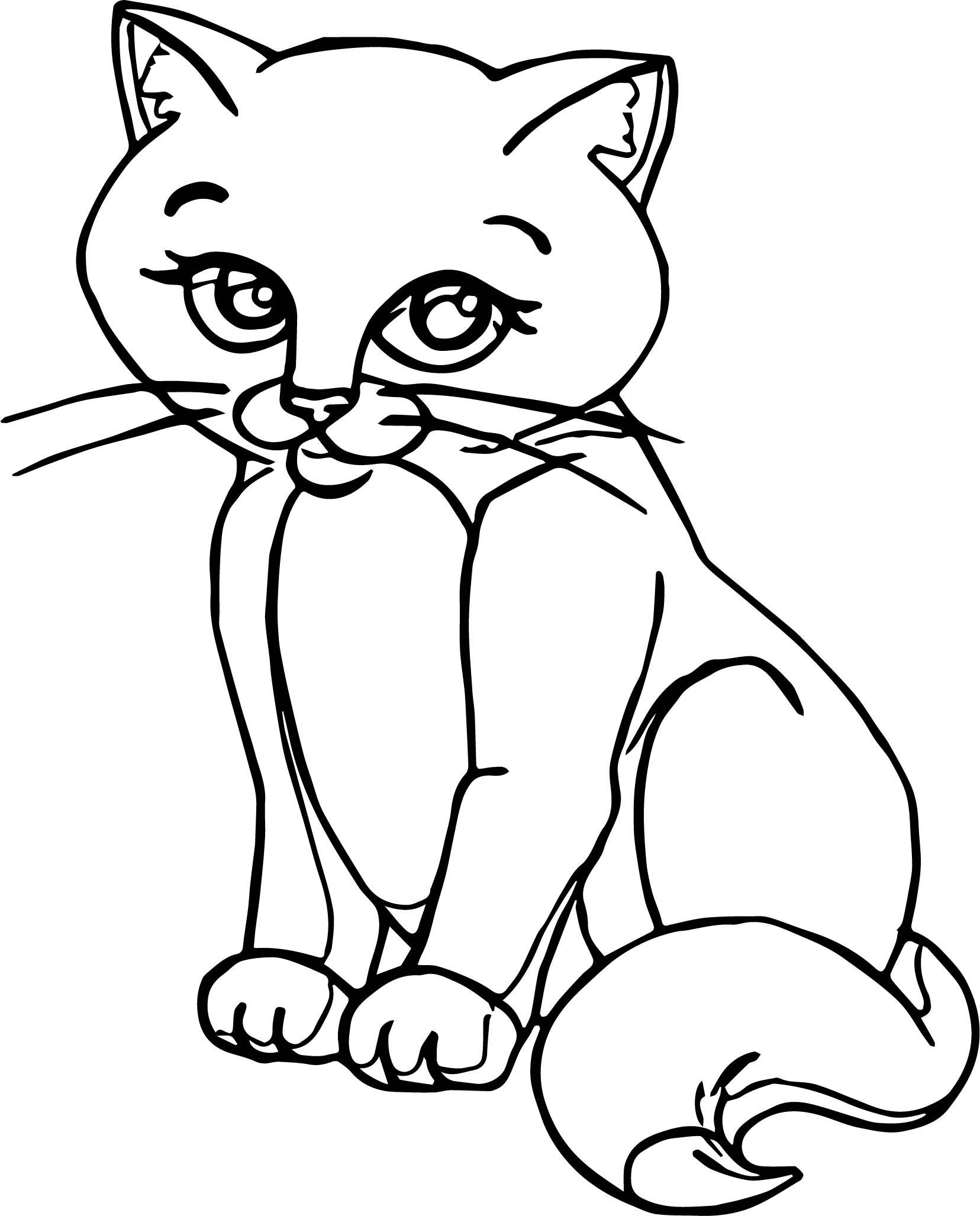 Persian Cat Coloring Pages at Free printable colorings pages to print and color
