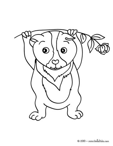 Pet Animals Coloring Pages at GetColorings.com | Free printable