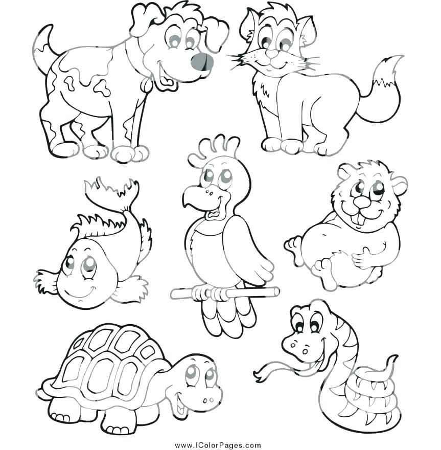 Pet Coloring Pages at GetColorings.com | Free printable colorings pages
