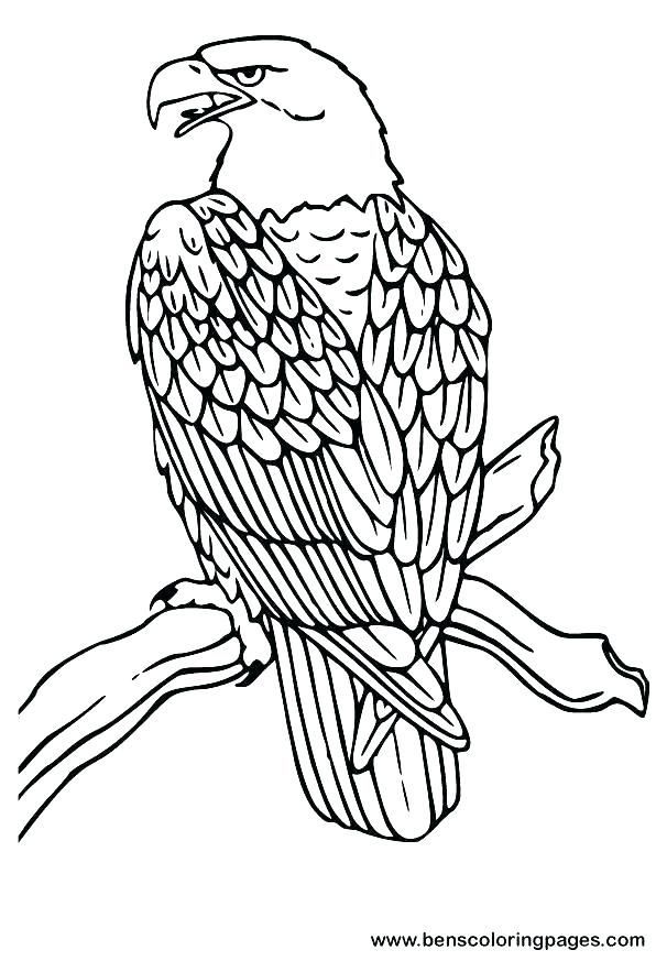 philadelphia-eagles-coloring-pages-at-getcolorings-free-printable