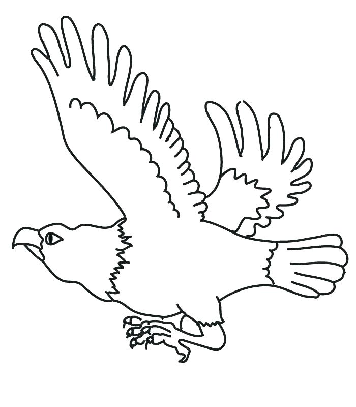 Philadelphia Eagles Coloring Pages Printable at GetColorings.com  Free