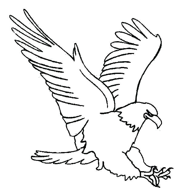 Free Printable Coloring Pages Of Eagles