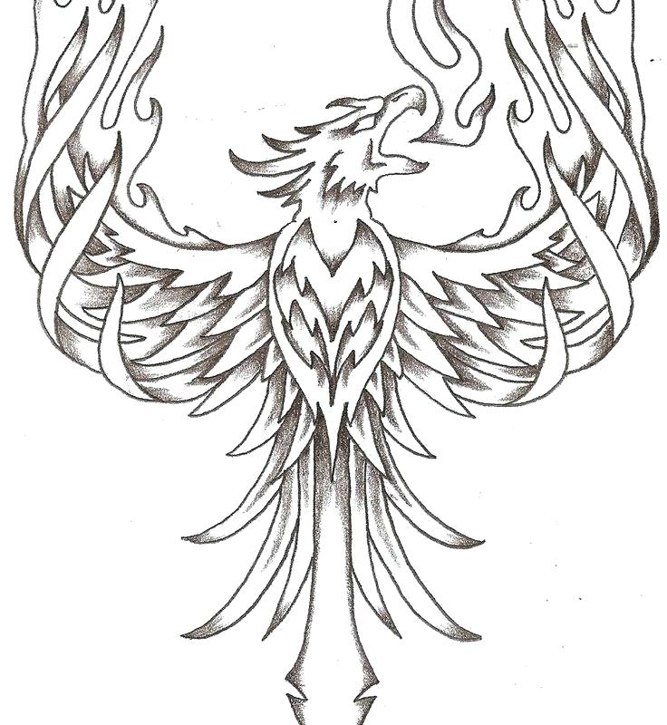 phoenix-bird-coloring-pages-at-getcolorings-free-printable