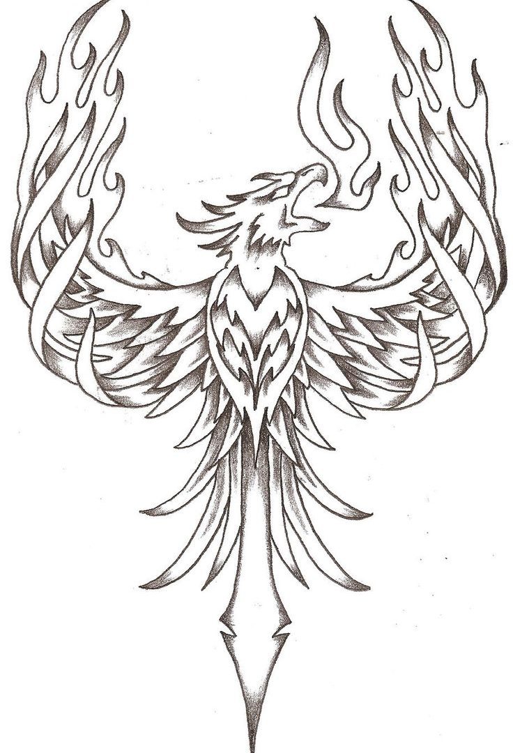 Phoenix Coloring Pages For Adults at GetColorings.com | Free printable