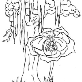 Pine Cone Coloring Page at GetColorings.com | Free printable colorings