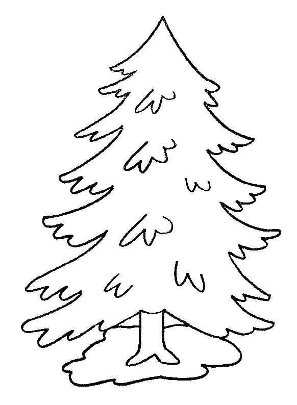 Pine Tree Coloring Page At GetColorings Free Printable Colorings 