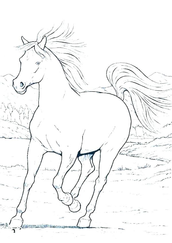 Pinto Horse Coloring Pages at GetColorings.com | Free printable ... Pinto Horse Coloring Pages at GetColorings.com | Free printable ...