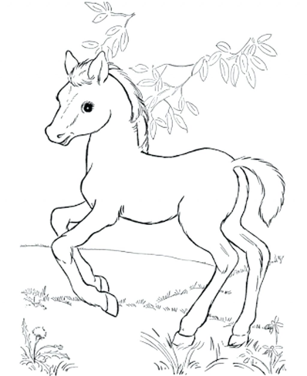 Pinto Horse Coloring Pages at GetColorings.com | Free printable