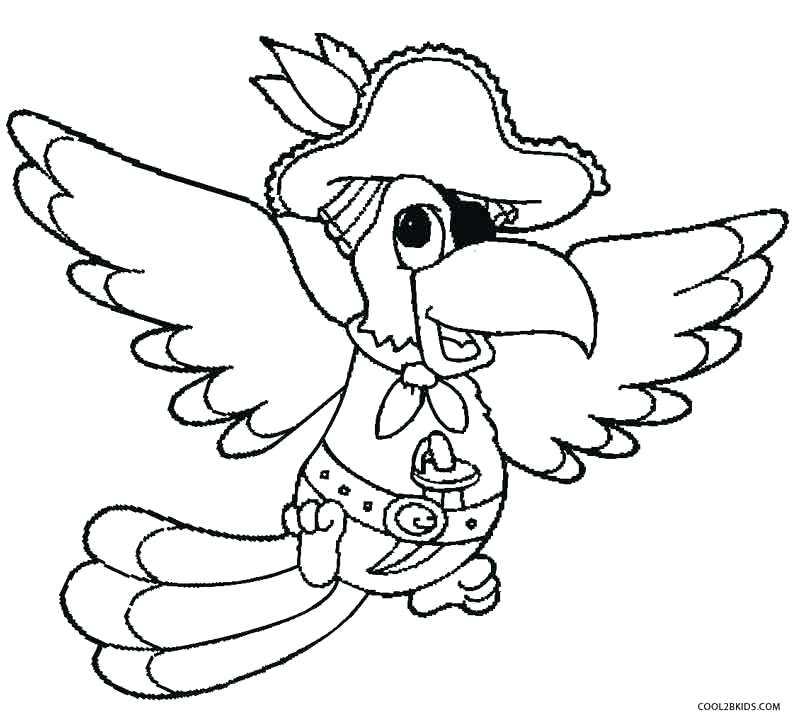 pirate parrot coloring pages at getcolorings  free printable colorings pages to print and color
