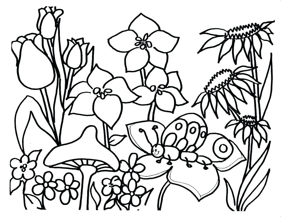 Plant Coloring Pages at GetColorings.com | Free printable colorings