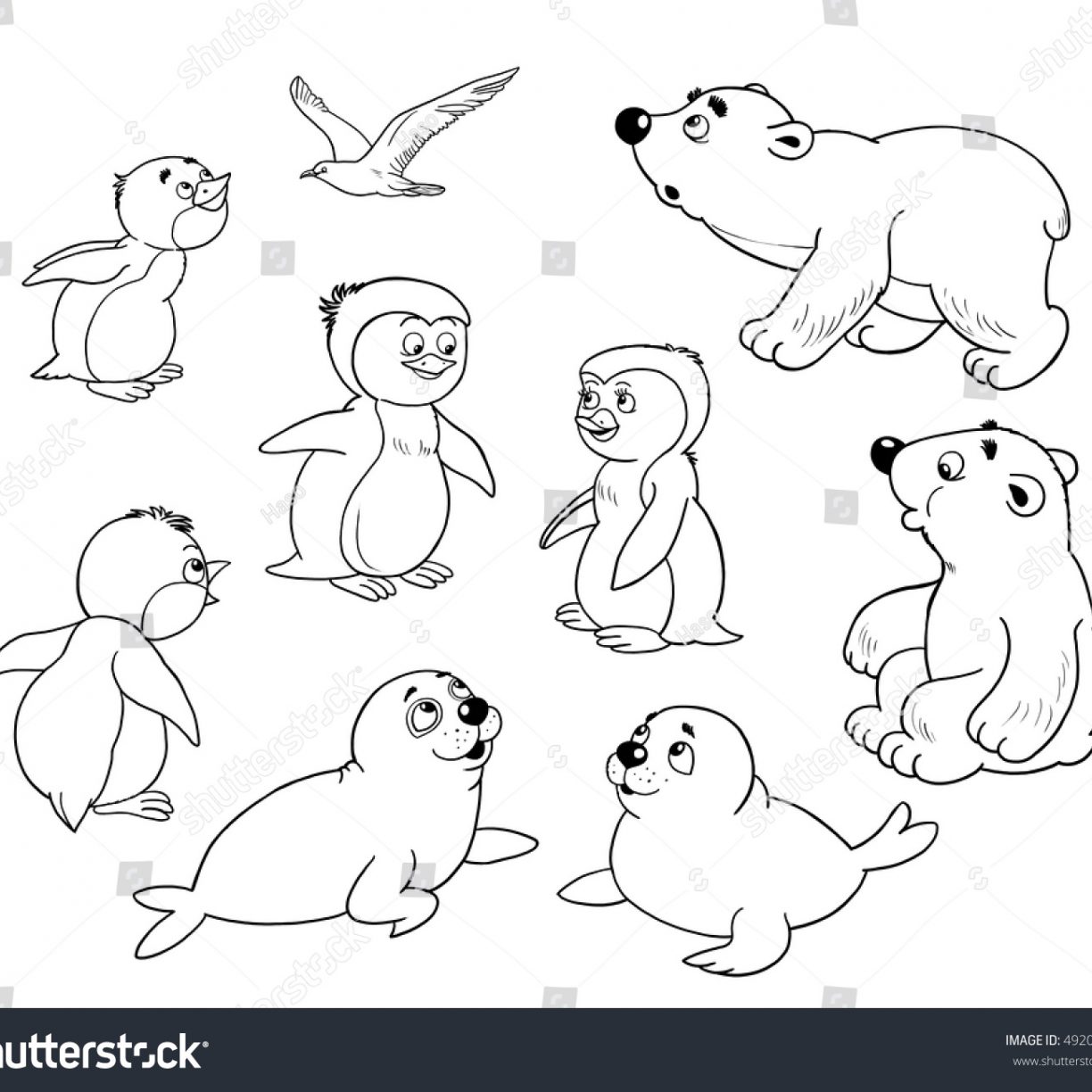 Polar Animals Coloring Pages at GetColorings.com | Free printable