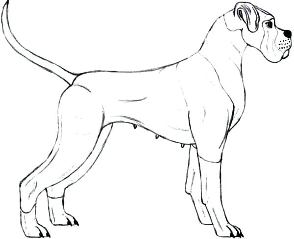 K9 Dog Coloring Pages Coloring Pages