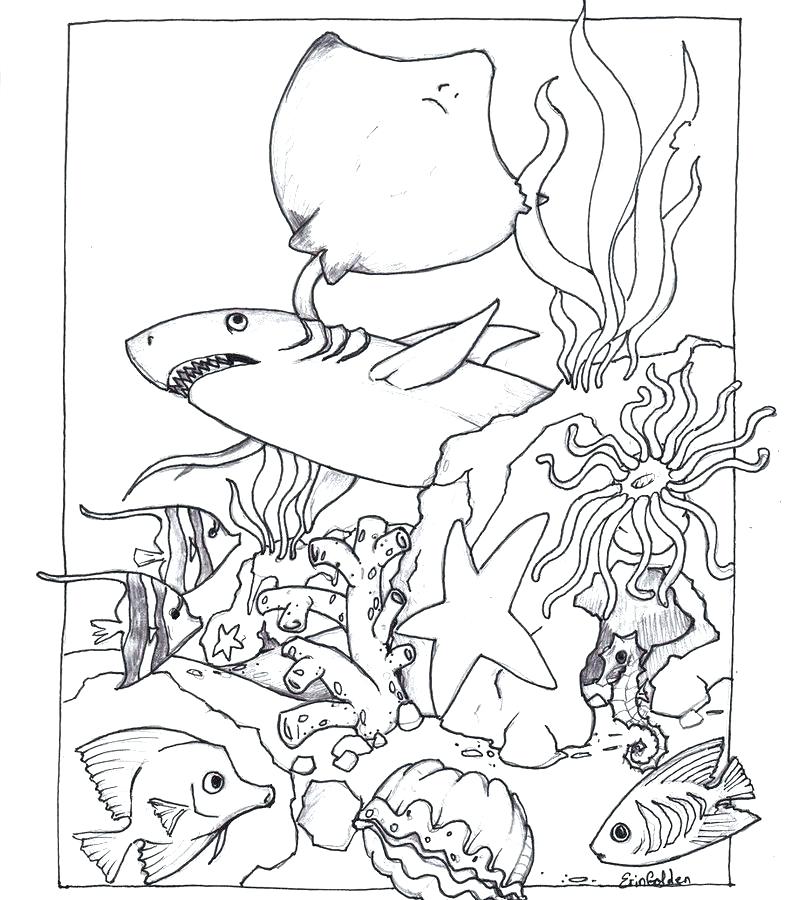 Loaves And Fishes Coloring Page at GetColorings.com | Free printable