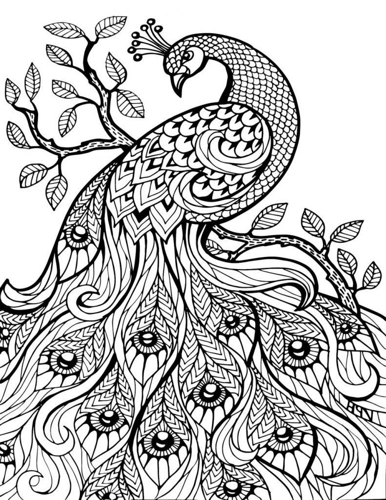 Pretty Coloring Pages at Free printable colorings