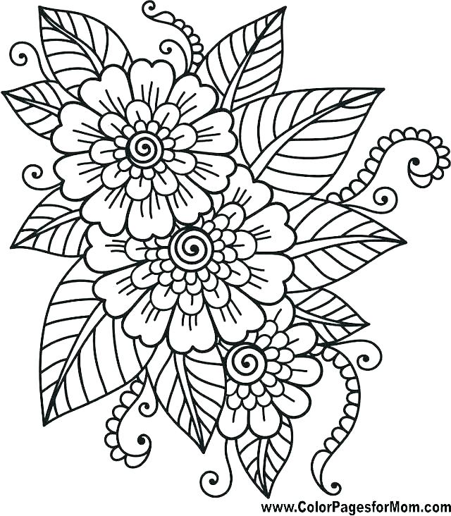 Pretty Flower Coloring Pages At Free Printable Colorings Pages To Print And Color 9907