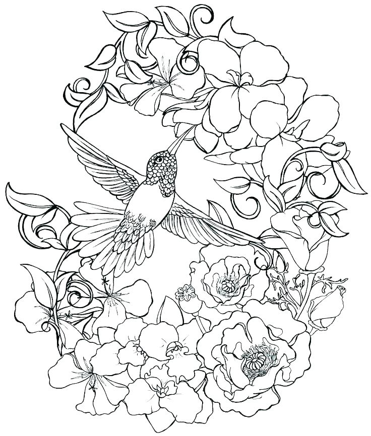 pretty-flower-coloring-pages-at-getcolorings-free-printable-colorings-pages-to-print-and-color