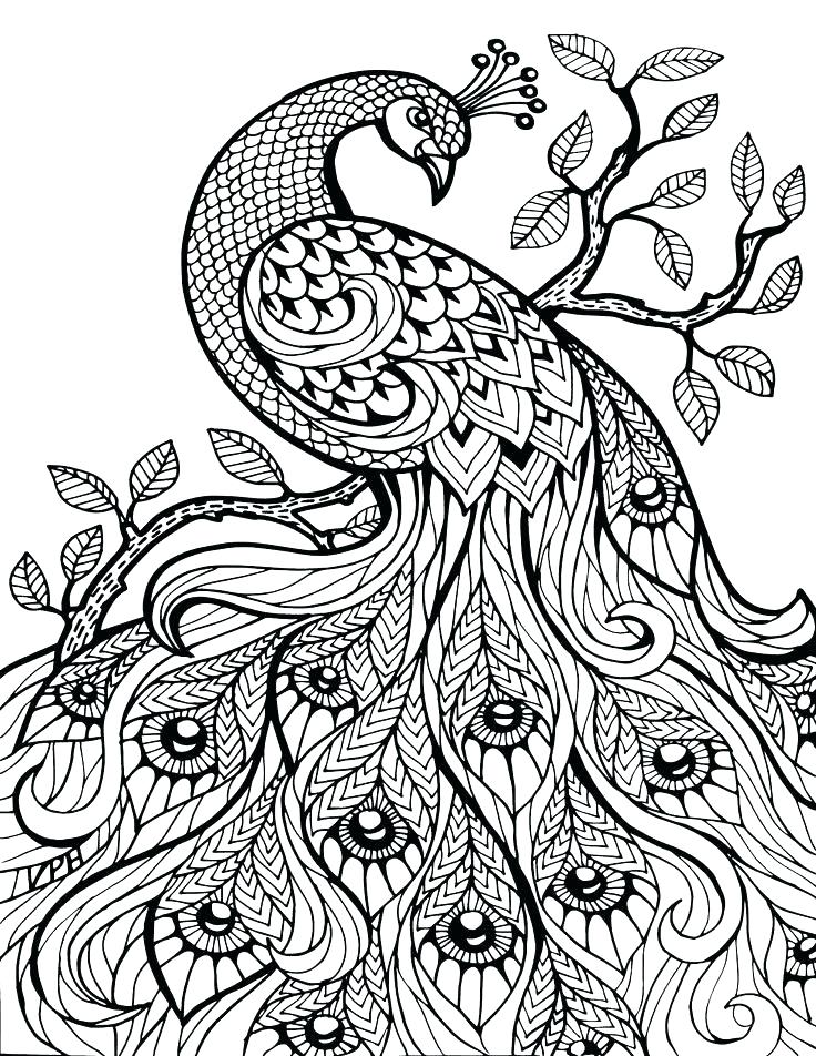 Print Out Coloring Pages Adults at GetColorings.com | Free printable