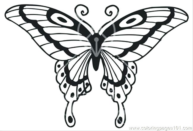 Printable Coloring Pages Flowers And Butterflies at GetColorings.com