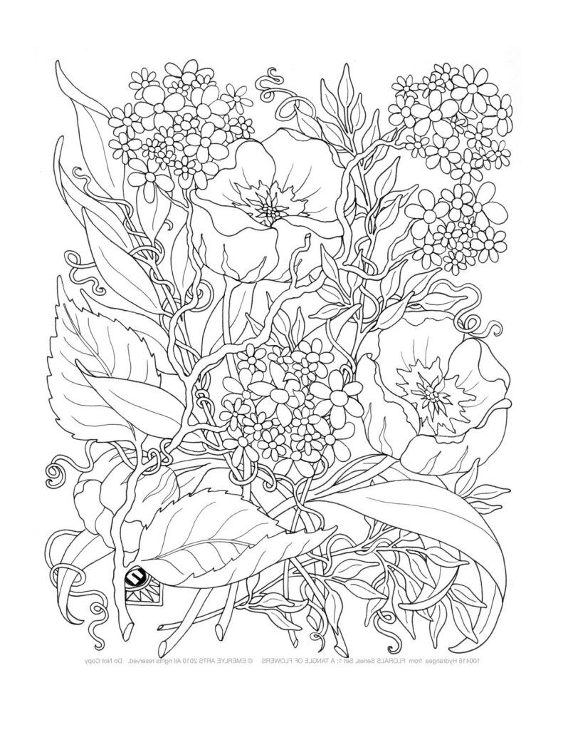 Printable Coloring Pages For Adults Only at GetColorings.com | Free