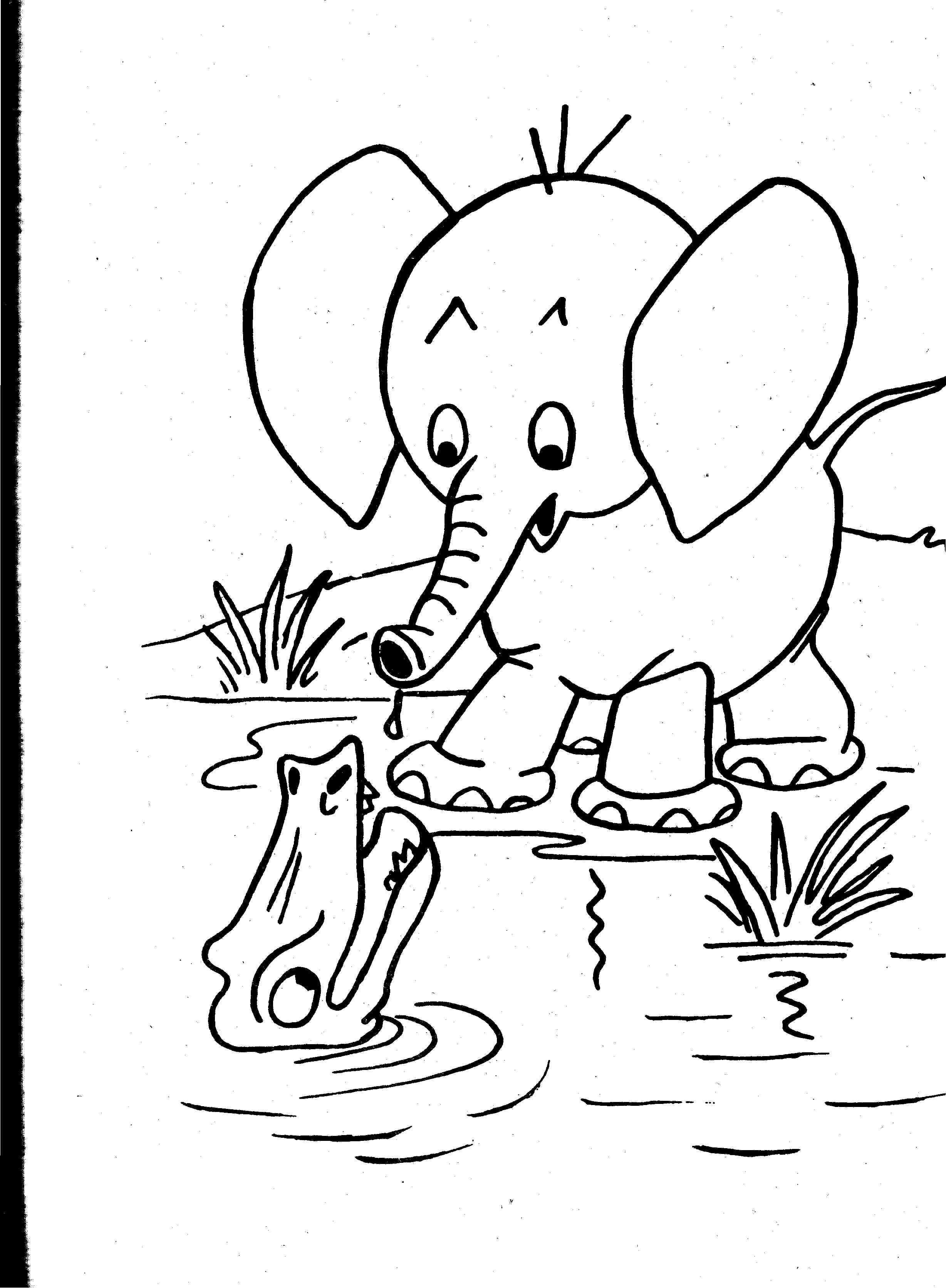 38  Animal Coloring Sheets PNG COLORIST