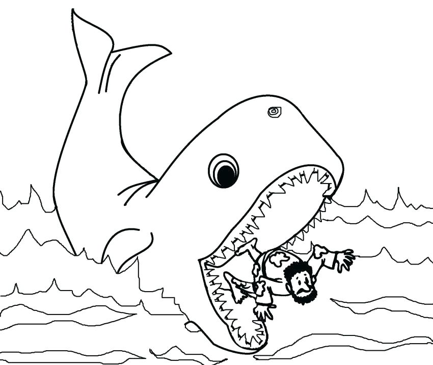 Printable Whale Coloring Pages at GetColorings.com | Free ...
