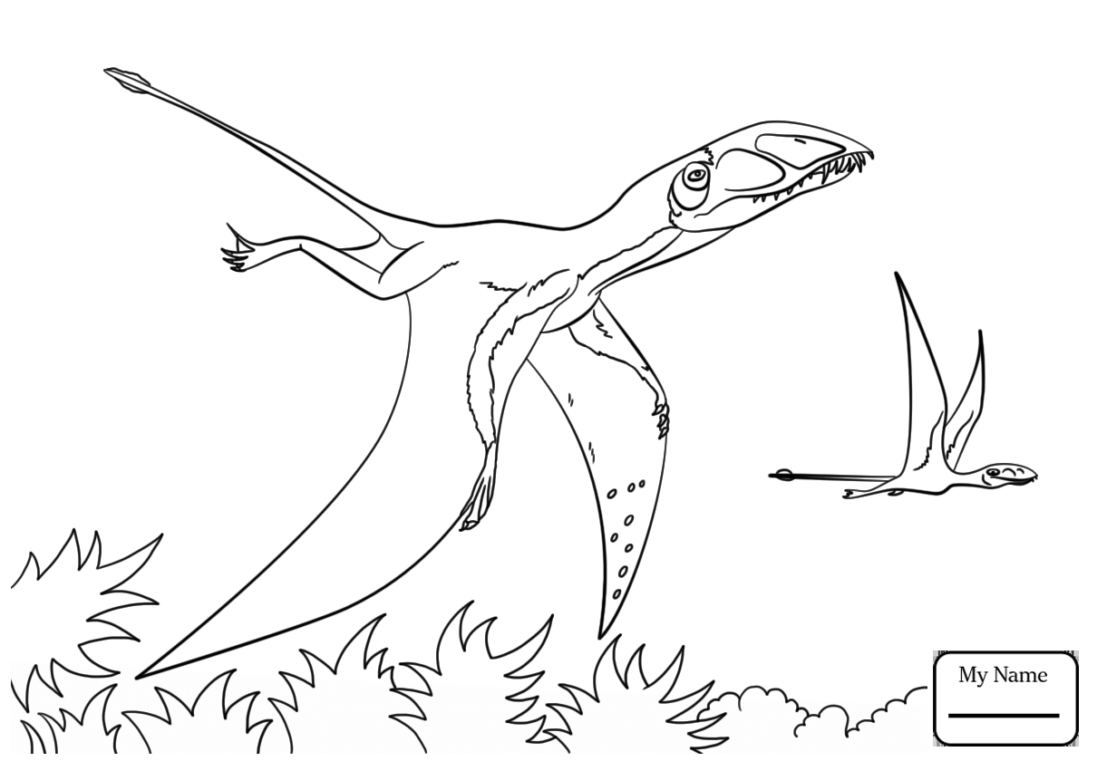 Pterodactyl Coloring Page at Free printable
