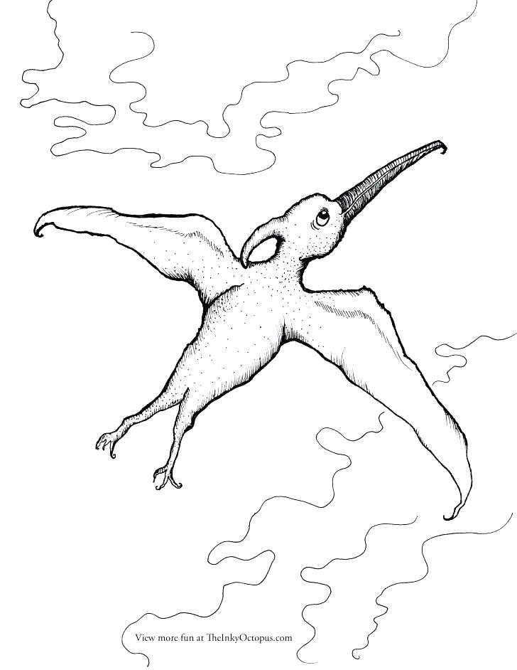 Pterodactyl Coloring Page at GetColorings.com | Free printable
