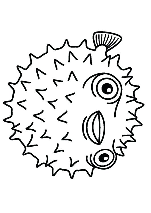 Puffer Fish Coloring Page at Free printable