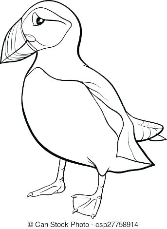 Puffin Coloring Pages At Getcolorings.com 