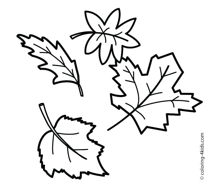 Pumpkin Leaves Coloring Pages at GetColorings.com | Free printable