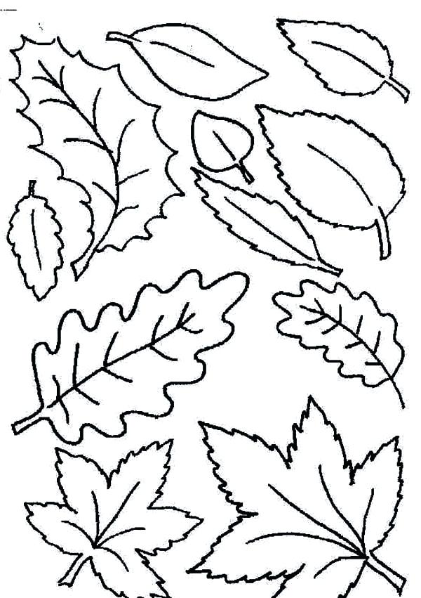 Pumpkin Leaves Coloring Pages at GetColorings.com | Free printable