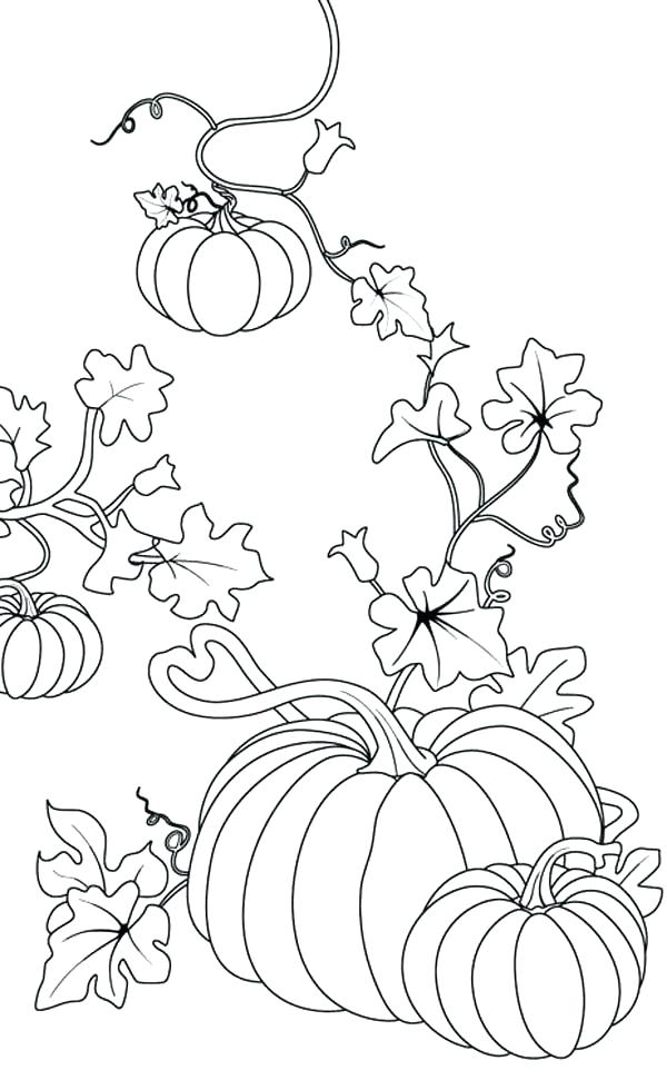 104 Simple Coloring Page Of Pumpkins And Leaves for Adult