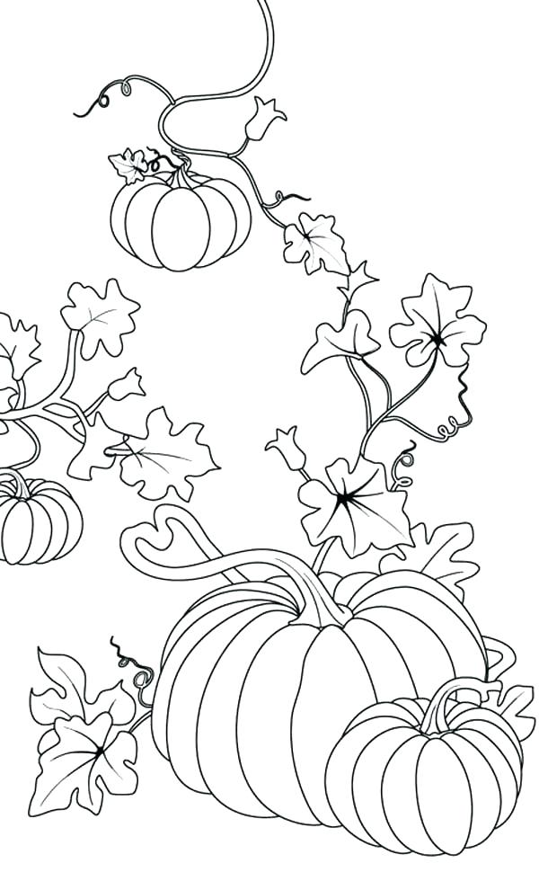 Pumpkin Patch Coloring Pages Printable at GetColorings.com | Free