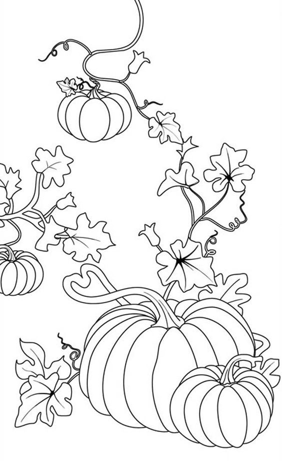 Pumpkin Vine Coloring Page at GetColorings.com | Free printable