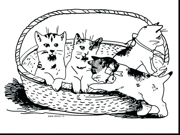Puppy And Kitten Coloring Pages To Print at GetColorings ...