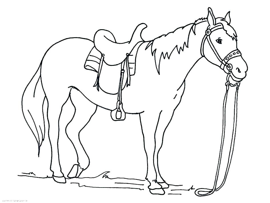 Quarter Horse Coloring Pages at GetColorings.com | Free printable